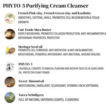 Load image into Gallery viewer, Phyto-5 Purifying Cream Cleanser: Wash-off, clay cleanser