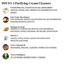 Load image into Gallery viewer, Phyto-5 Purifying Cream Cleanser: Wash-off, clay cleanser