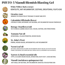 Load image into Gallery viewer, PHYTO-5 Niaouli Blemish Control Gel