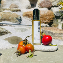 Load image into Gallery viewer, Phyto-5 Restorative Rose Light Nectar- Botanical face oil blend