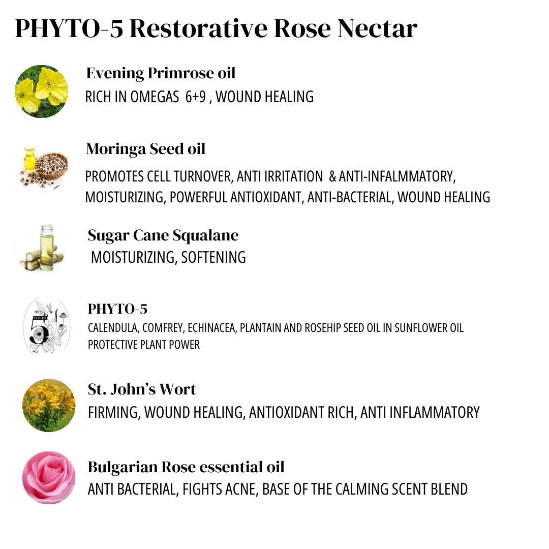 rose seed oil benefits Phyto-5 Restorative Rose Light Nectar- Botanical face oil blend for re –  Kavanaskincare